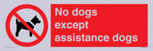 No dogs except assistance dogs